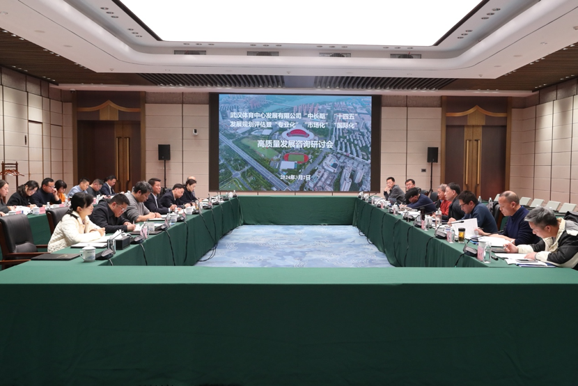 公司召開“中長期”、“十四五”發展規劃評估暨“專業化、市場化、國際化”高質量發展研討會