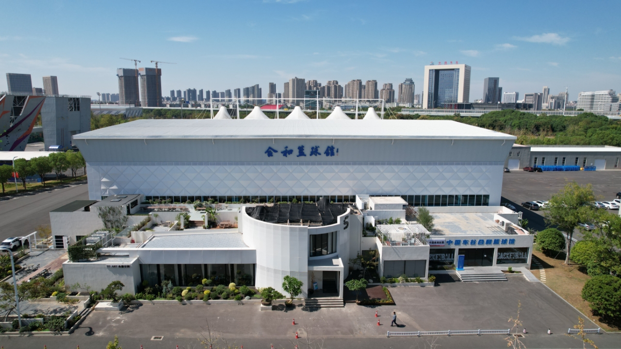 【運動康復】頸深屈肌與枕后肌群：頸椎病的隱秘“扳機”